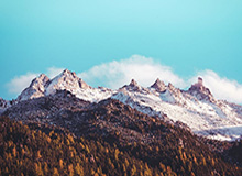 WTT多哈冠军赛：梁靖崑3-0速胜晋级男单16强